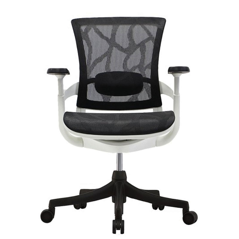 silla ergonomica de oficina queretaro